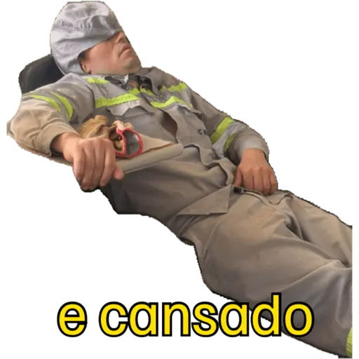 Minhas figurinhas
