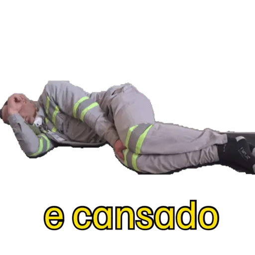 Minhas figurinhas
