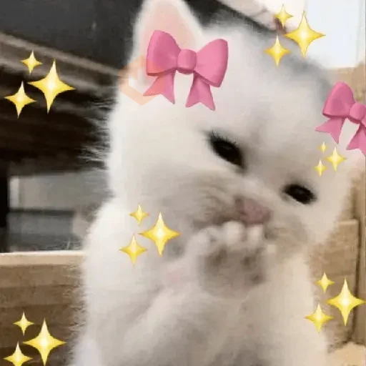 📲☕🫐 Tiktok Mood 🫐☕ 6