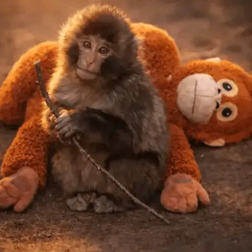 Punch bebé mono🐒Monkey 💖