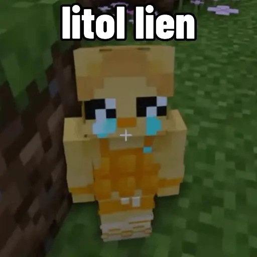 Minecraft SMP