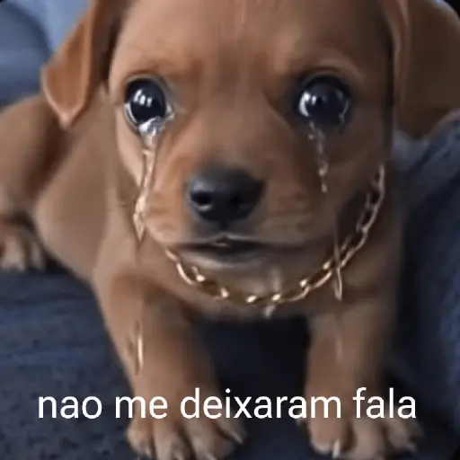 Reações com animais🐶🐱🐵