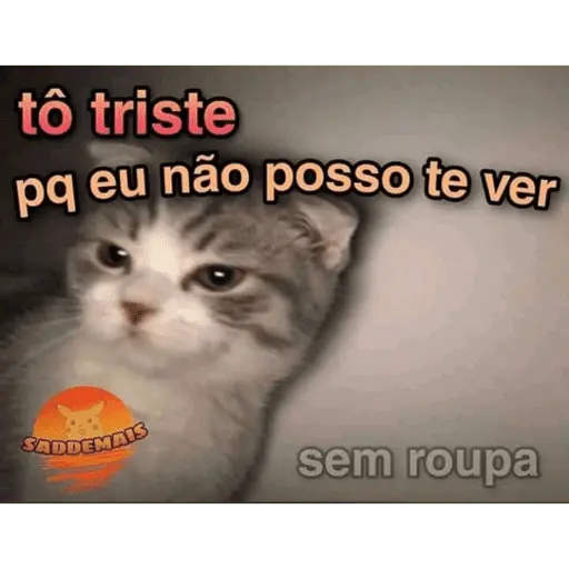 Reações com animais🐶🐱🐵