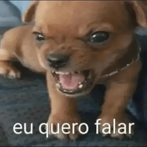 Reações com animais🐶🐱🐵