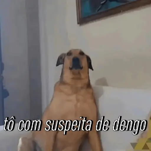 Reações com animais🐶🐱🐵