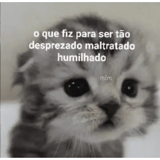 Reações com animais🐶🐱🐵