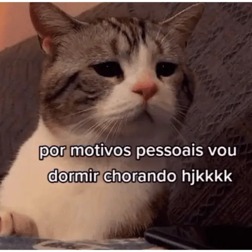 Reações com animais🐶🐱🐵