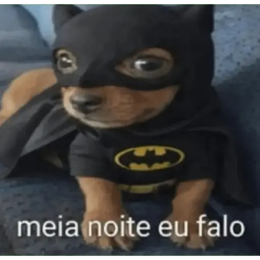 Reações com animais🐶🐱🐵