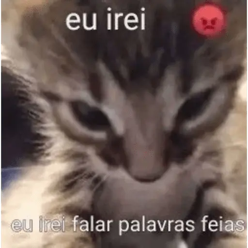 Reações com animais🐶🐱🐵