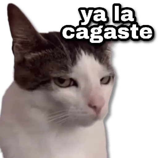 🎉 Stickers Basura #➎