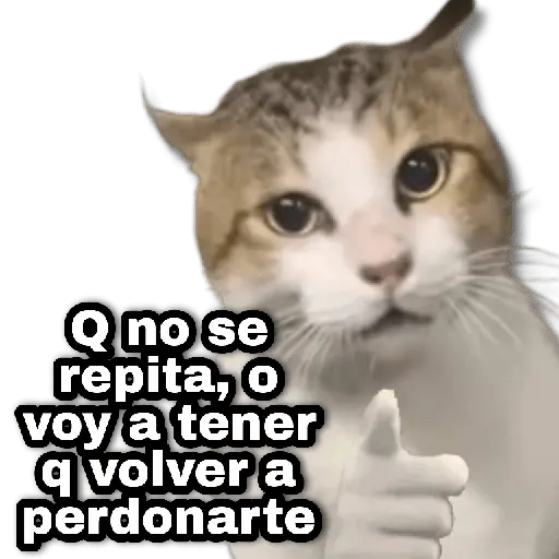 🎉 Stickers Basura #➎