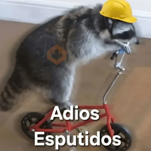 💥Shitpost 54💣