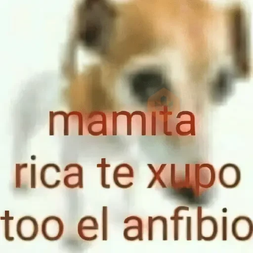 💥Shitpost 54💣