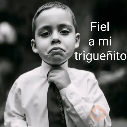 🤵🏻‍♂️🤵🏼‍♀️👔 FIEL A... 👔🤵🏼‍♀️🤵🏻‍♂️ sticker 20