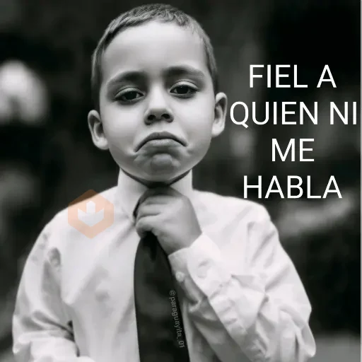 🤵🏻‍♂️🤵🏼‍♀️👔 FIEL A... 👔🤵🏼‍♀️🤵🏻‍♂️ sticker 27