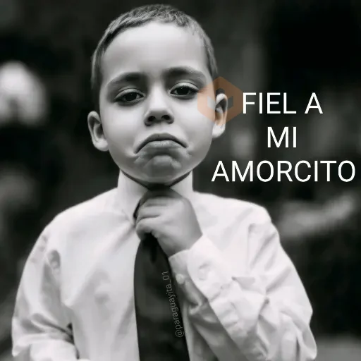 🤵🏻‍♂️🤵🏼‍♀️👔 FIEL A... 👔🤵🏼‍♀️🤵🏻‍♂️ sticker 29