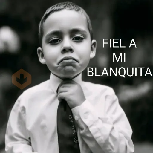 🤵🏻‍♂️🤵🏼‍♀️👔 FIEL A... 👔🤵🏼‍♀️🤵🏻‍♂️ sticker 28