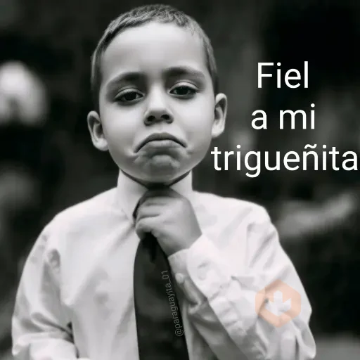 🤵🏻‍♂️🤵🏼‍♀️👔 FIEL A... 👔🤵🏼‍♀️🤵🏻‍♂️ sticker 21
