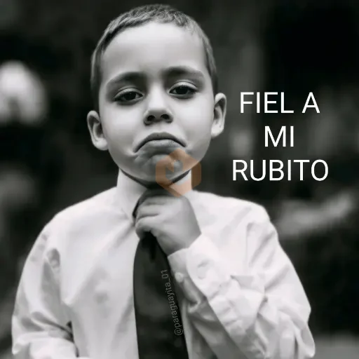 🤵🏻‍♂️🤵🏼‍♀️👔 FIEL A... 👔🤵🏼‍♀️🤵🏻‍♂️ sticker 17