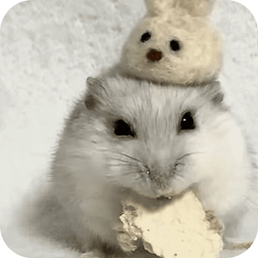 Hamster lindos para el chat💕 preview