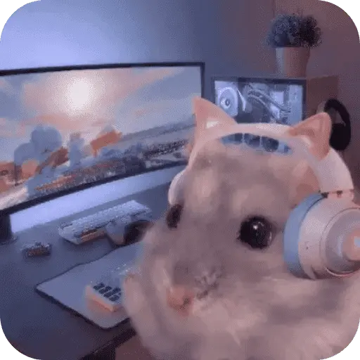 Hamster lindos para el chat💕