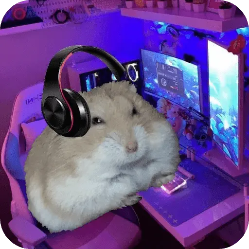 Hamster lindos para el chat💕