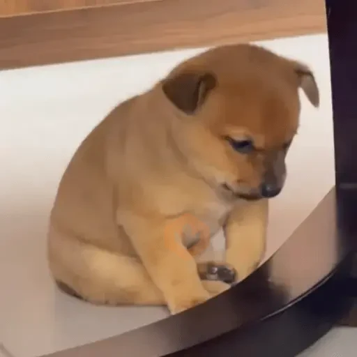 Memes Tristes😭😢🥺 sticker 15