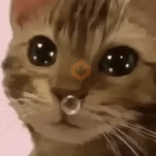 Memes Tristes😭😢🥺 sticker 27