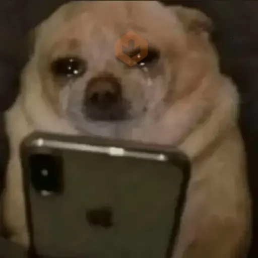 Memes Tristes😭😢🥺 sticker 12