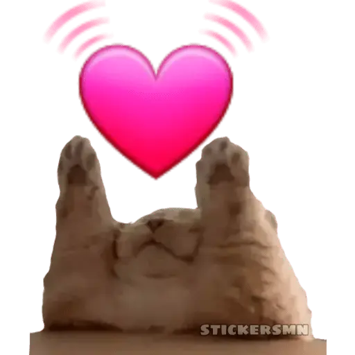 Gatito Polvitos Mágicos💞