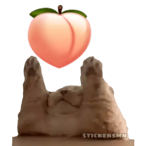Gatito Polvitos Mágicos💞