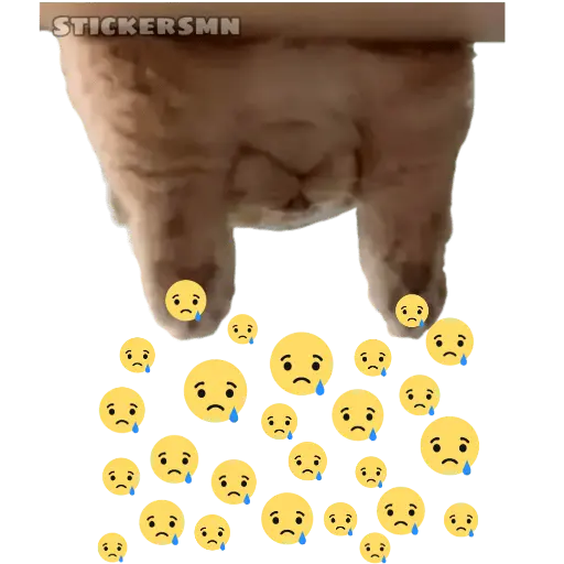 Gatito Polvitos Mágicos💞