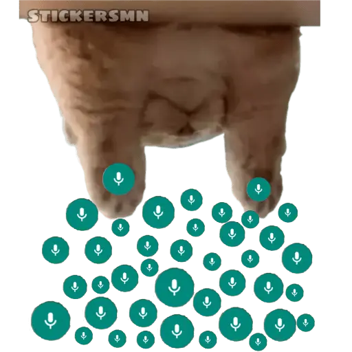 Gatito Polvitos Mágicos💞