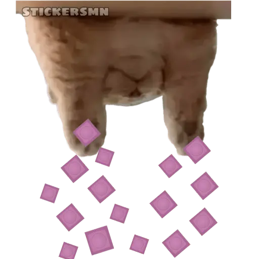 Gatito Polvitos Mágicos💞