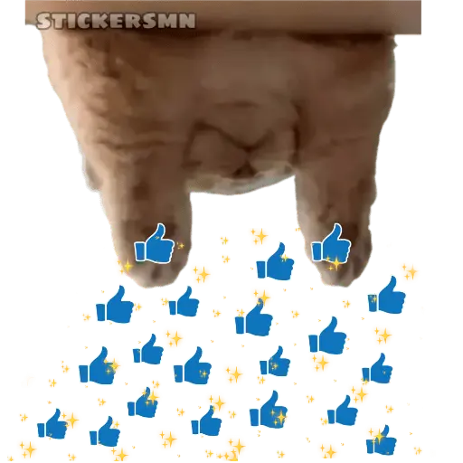 Gatito Polvitos Mágicos💞