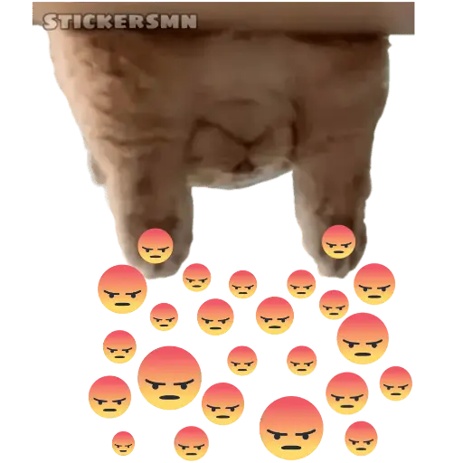 Gatito Polvitos Mágicos💞