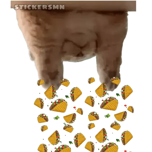 Gatito Polvitos Mágicos💞
