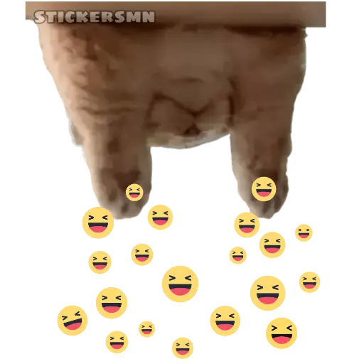 Gatito Polvitos Mágicos💞
