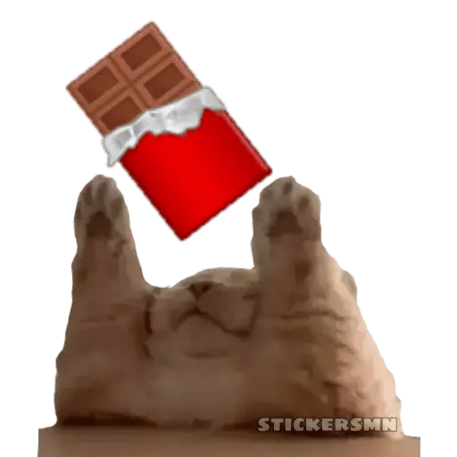Gatito Polvitos Mágicos💞