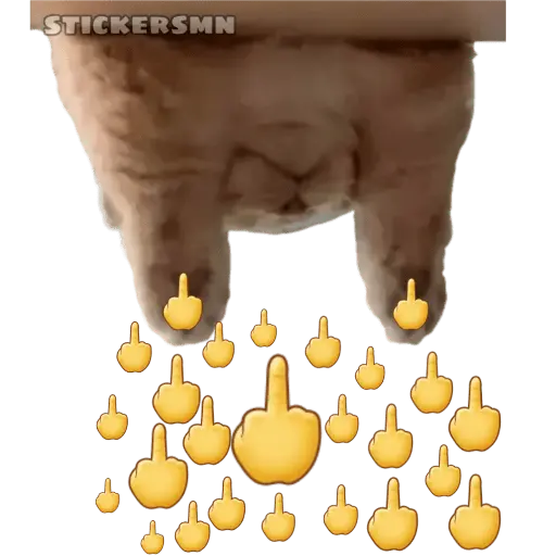 Gatito Polvitos Mágicos💞