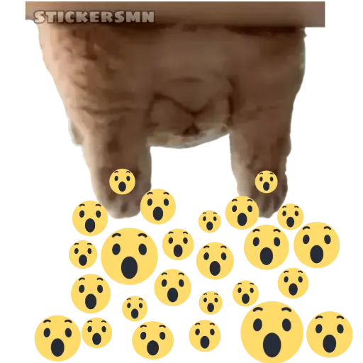 Gatito Polvitos Mágicos💞