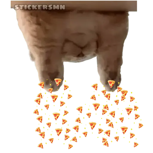 Gatito Polvitos Mágicos💞