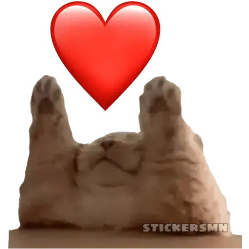 Gatito Polvitos Mágicos💞