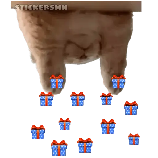 Gatito Polvitos Mágicos💞