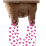 Gatito Polvitos Mágicos💞