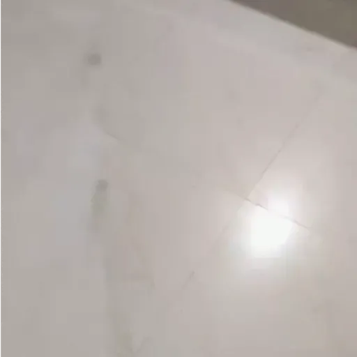 🍭 NIÑOS REACCIONES 🌈