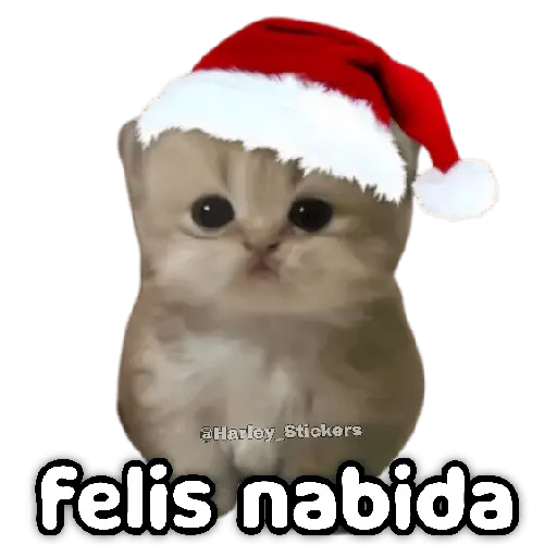 🎄🎁 NAVIDAD 🎁🎄😻 