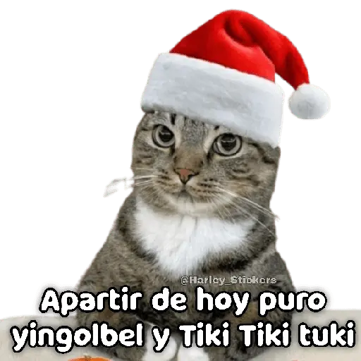 🎄🎁 NAVIDAD 🎁🎄😻 