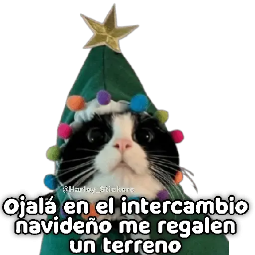 🎄🎁 NAVIDAD 🎁🎄😻 