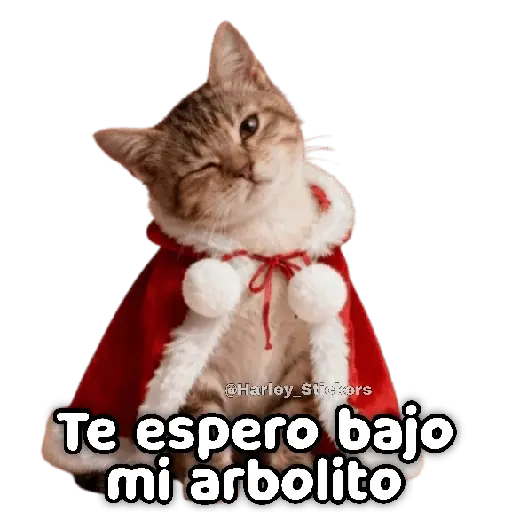 🎄🎁 NAVIDAD 🎁🎄😻 